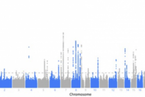 Age, sex and race in Dupuytren’s