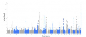 You are currently viewing Age, sex and race in Dupuytren’s