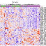 Dupuytren’s Research Group update