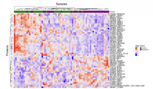 Dupuytren’s Research Group update