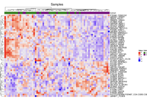 Dupuytren’s Research Group update