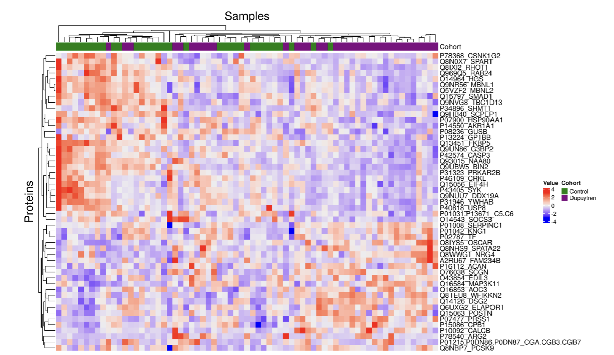 You are currently viewing Dupuytren’s Research Group update